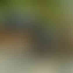 Laje & Uccela Monplaisir