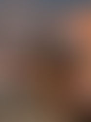 Methuselah, the ancient Bristlecone Pine.