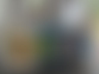 How to Clean Green: Products & Tips (Part 2)