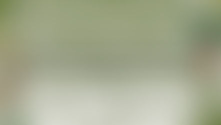 Merry Christmas 2025