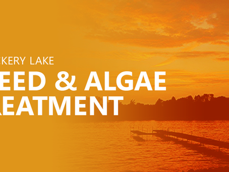 Weed & Algae Treatment