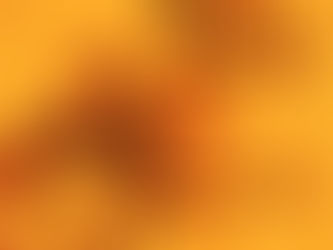 Petal Motel Article - Unreleased Neal Casal Songs