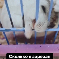 gafarova.2000_internet.ru.jpeg