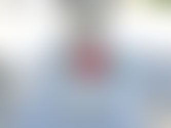 Паперман Л. В.