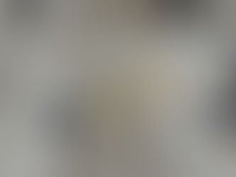 Чарная Бейля - Лея Берковна