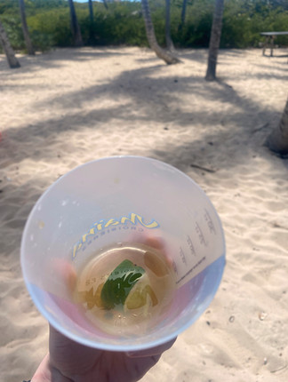 Rum mit Limette in Becher