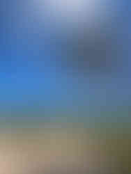 Palme am Strand mit Leuchtturm im Hintergrund