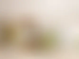 Natural deodorant ingredients including coconut, plant oils, powders, shea butter, mint, lime, and a white deodorant stick arranged on a light surface.