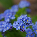 AdobeStock_109291233.jpeg