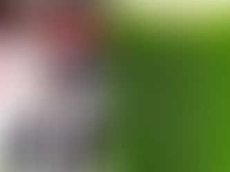 Yuri Fernandes - Nova parceira, Será ?