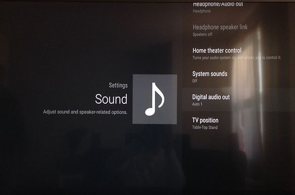 sony 1.jpg