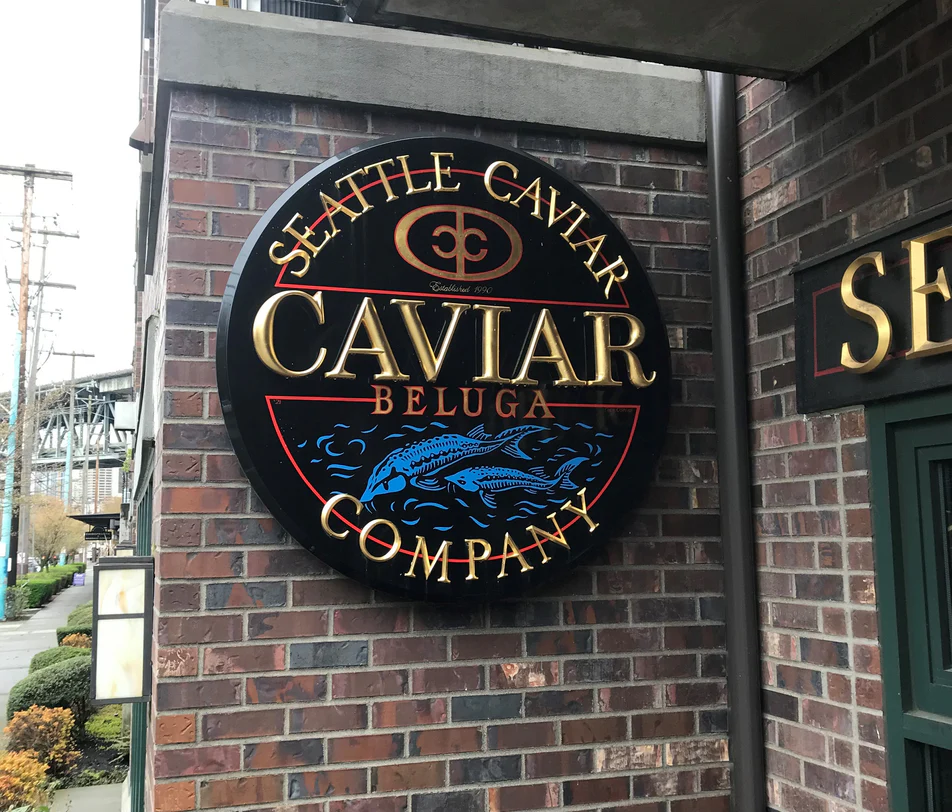 Image → pUr7I3dALE7OhtZ6I9J9hpap4U.webp