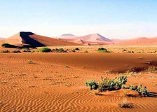 desierto.jpg