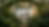 1000209733.png