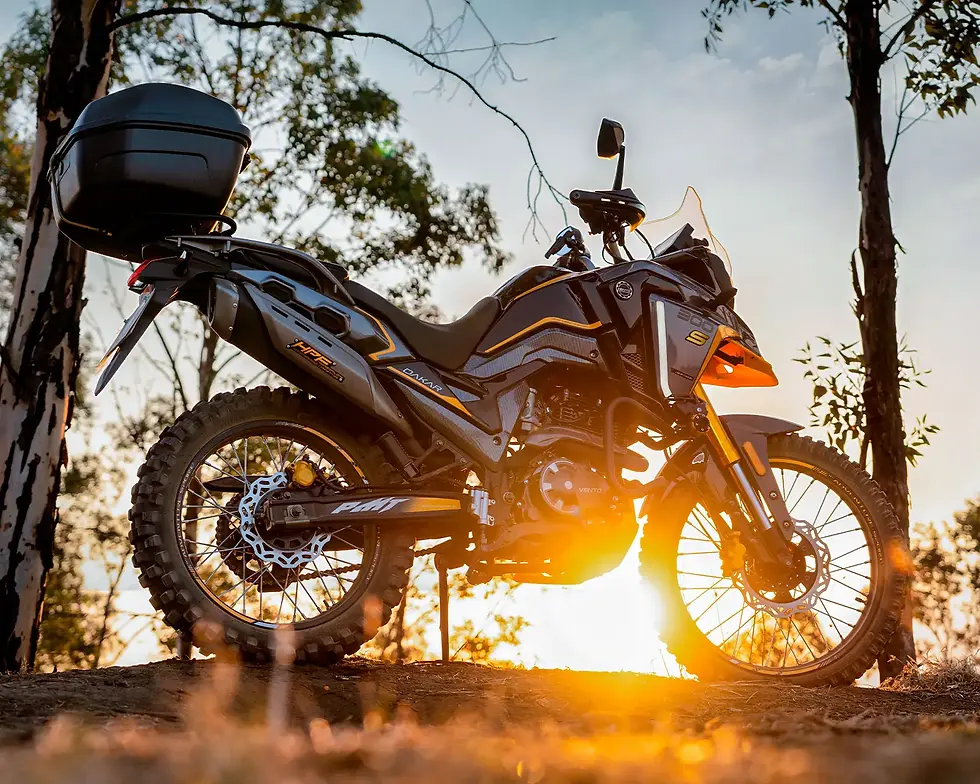 Miniatura: DAKAR 300