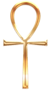 imageedit_7_3055832983_edited_edited.png