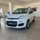 Miniatura: Fiat Panda 1.2 Benzina 70 Cv