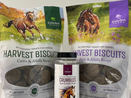 Caledon Farms Horse Treats win 3rd place in the Farm & Feed category at the Global Pet Expo!