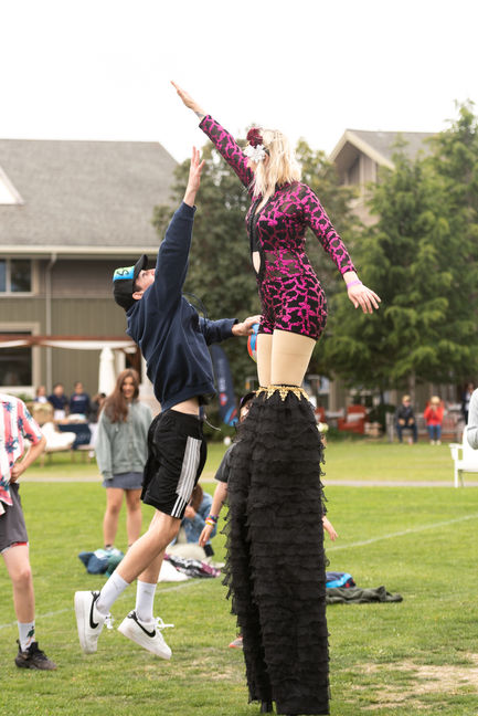 Mill Valley Music Festival