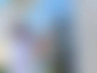 Get Your Windows Cleaned in North Carolina