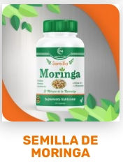 SEMILLA DE MORINGA