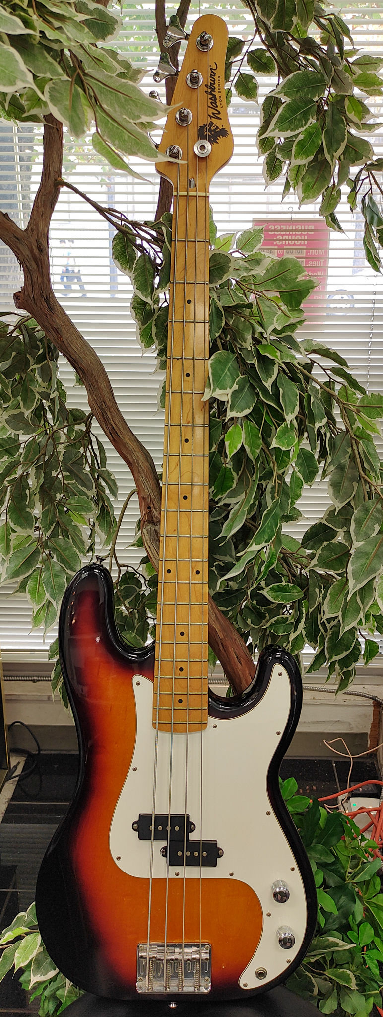 Washburn Lyon Series WB10-TS 4-string bass guitar in Tobacco Sunburst with white pickguard, showing light playwear.