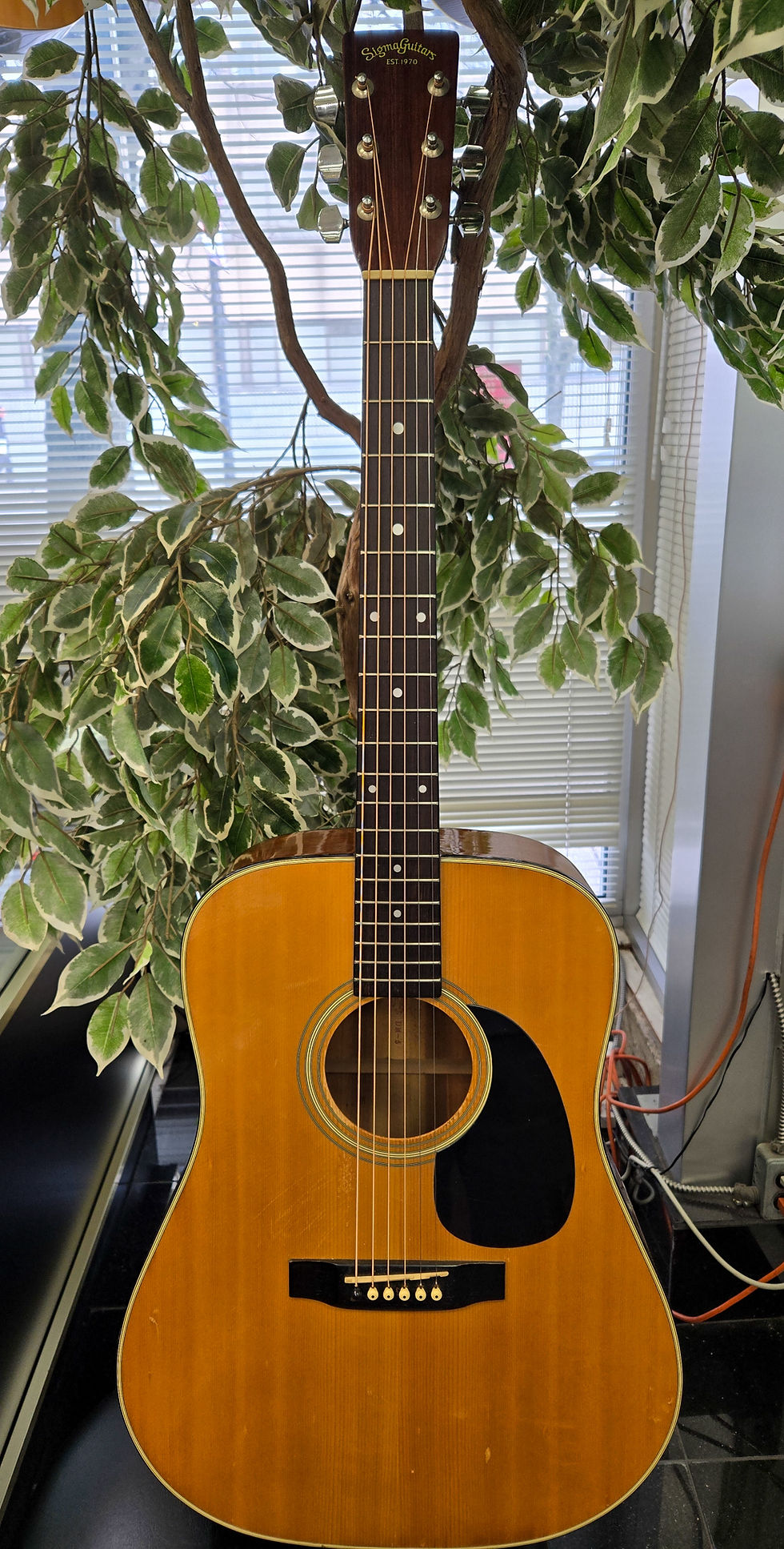 Sigma DM-5 made-in-Japan dreadnought acoustic guitar—front, back, headstock, fretboard, bridge