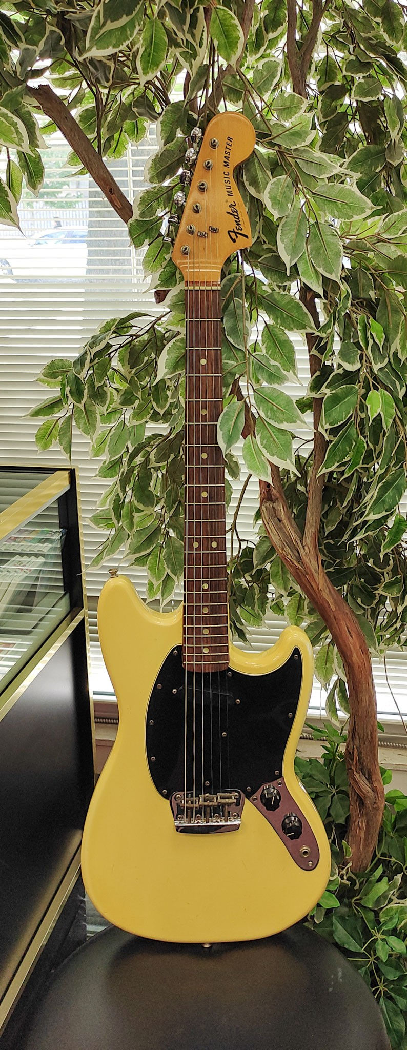 Vintage 1976 Fender Musicmaster electric guitar in naturally aged cream-yellow white finish with black pickguard, rosewood