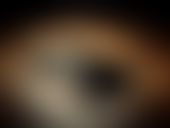 Lost pawn ticket? What actually happens next