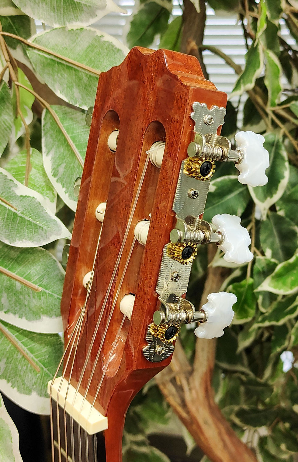 Thumbnail: Denver DC12N-NAT 1/2-size natural gloss nylon-string classical acoustic guitar with decorative rosette, slotted headstock