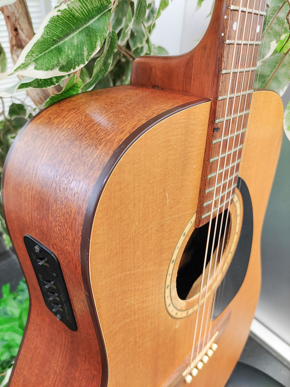 Thumbnail: Simon & Patrick Model 6 acoustic-electric dreadnought with spruce top and mahogany body.