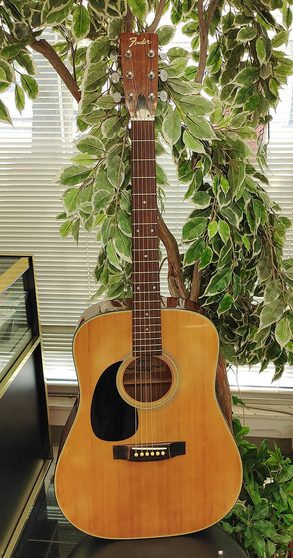 Vintage 1978 Fender F-35 made-in-Japan dreadnought acoustic guitar with natural spruce top, dark back and sides, gig bag