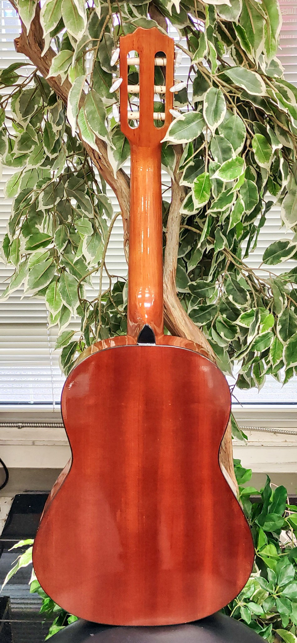 Thumbnail: Denver DC12N-NAT 1/2-size natural gloss nylon-string classical acoustic guitar with decorative rosette, slotted headstock