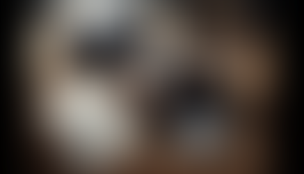 Lost pawn ticket? How the counter thinks