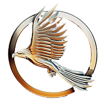 Nouveau Logo Officiel_edited_edited.png