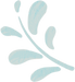 Plant_28_edited.png