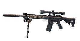 Designated Marksman Rifle (DMR)