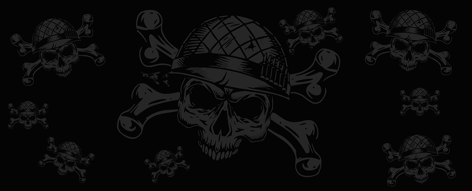 websitebannernologo.png