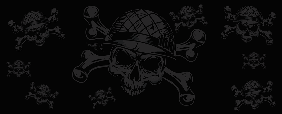 websitebannernologo.png