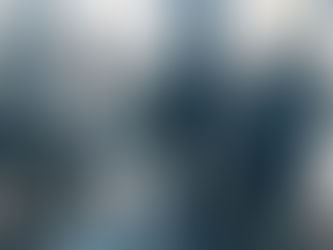 สภาพแวดล้อมการลงทุนในอินโดนีเซีย - ข้อมูลมหภาค, ข้อกำหนดในการลงทุนต่างประเทศ, กฎหมายบริษัท, มาตรฐานการบัญชี