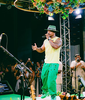 _photographfabi - Pagode de Amor-7956.jpg