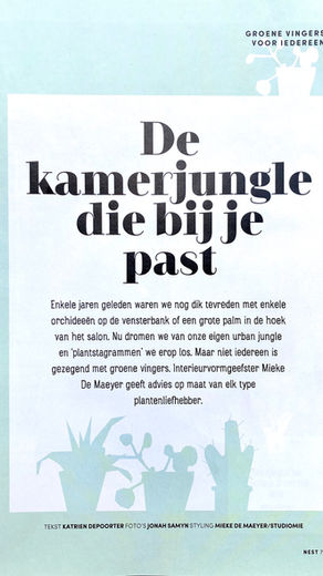 De kamerjungle die bij je past.
