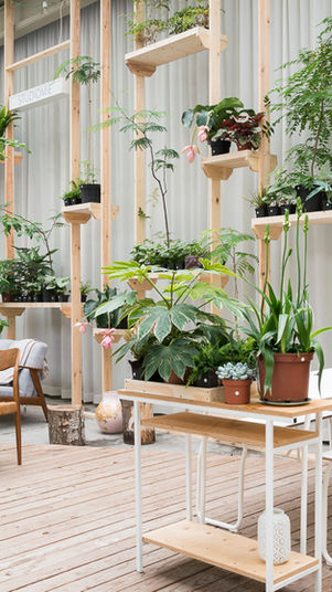 Jardin Botanique Gentse Feesten 2015