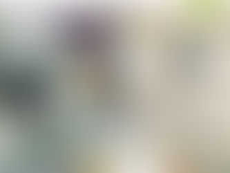 Three favourites on sale