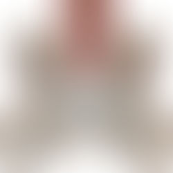 多裂筋について