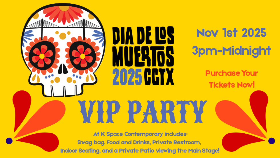 VIP Party 2025