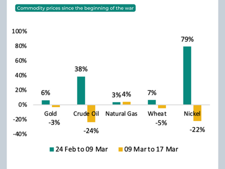 Was the Commodity Scare Overdone?
