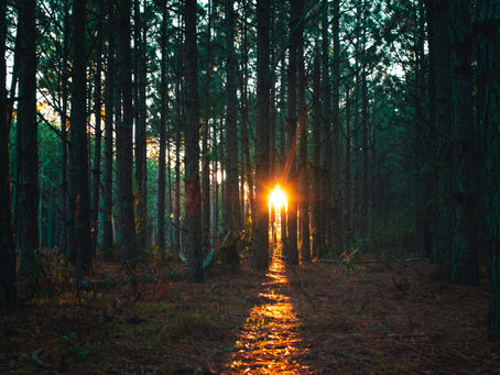 Commodity Prices Cooling off - Respite? ☀️