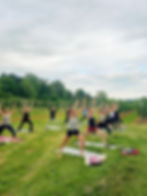 yoga in the orchard