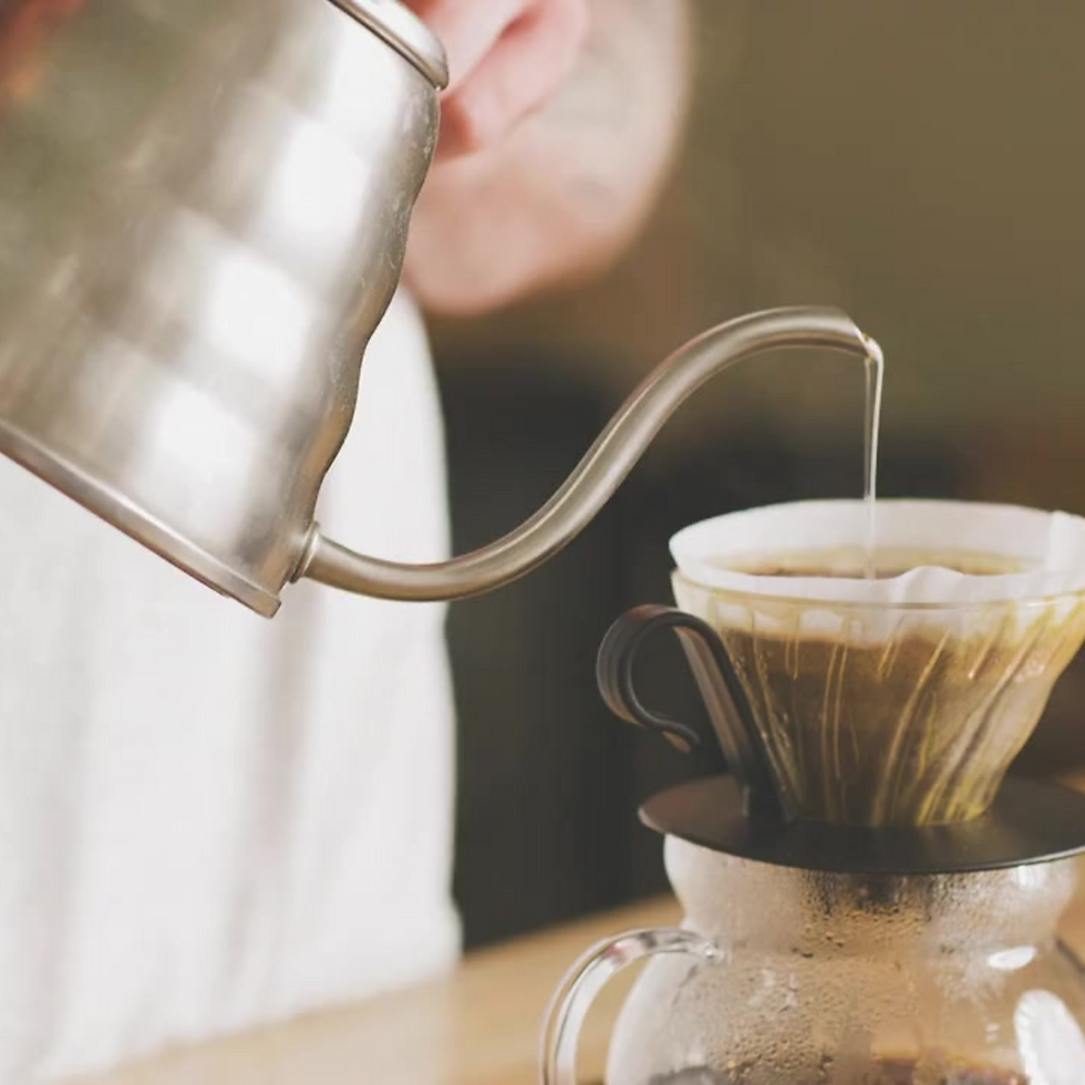 Gooseneck Kettle and V60